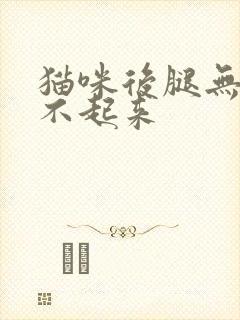 猫咪后腿无力跳不起来