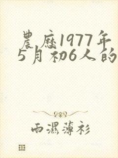 农历1977年5月初6人的命运封面