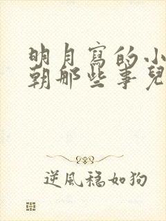 明月写的小说明朝那些事儿