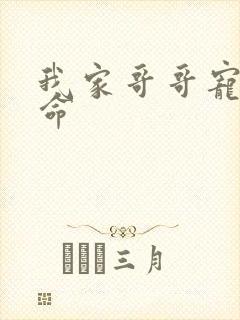 我家哥哥宠妹如命