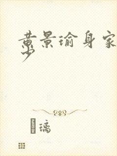 黄景瑜身家有多少