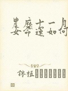 农历十一月属猴女命运如何