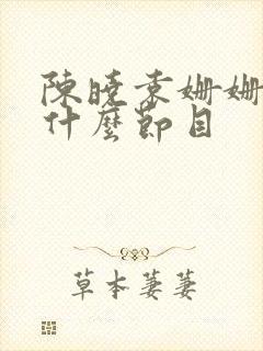 陈晓袁姗姗连线什么节目