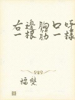 右边胸口呼吸像一根筋一样扯着疼封面