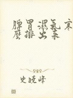 脾胃湿气寒气怎么排出来