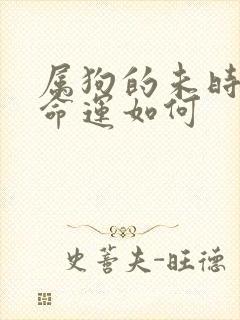 属狗的未时出生命运如何