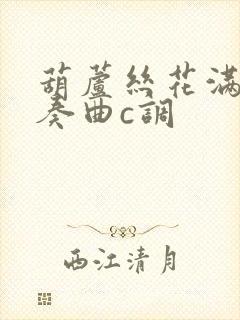 葫芦丝花满楼伴奏曲c调