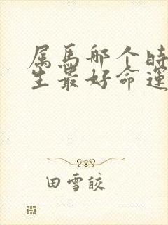 属马哪个时辰出生最好命运封面