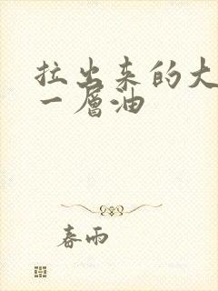 拉出来的大便有一层油封面