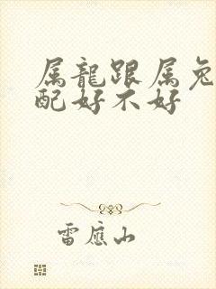 属龙跟属兔的婚配好不好封面