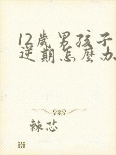 12岁男孩子叛逆期怎么办