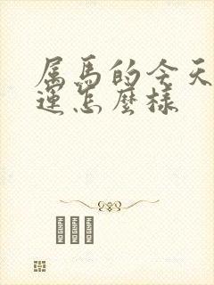 属马的今天的财运怎么样