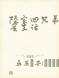 陆家四兄弟的甜蜜生活