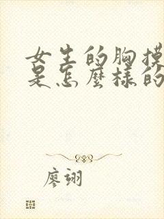 女生的胸摸起来是怎么样的