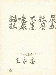 猫咪不拉屎也不拉尿怎么办