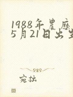 1988年农历5月21日出生人的命运