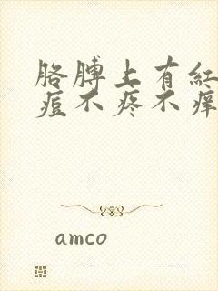 胳膊上有红色痘痘不疼不痒封面