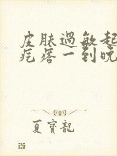 皮肤过敏起小红疙瘩一到晚上就痒的不行