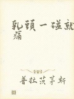 乳头一碰就有点痛封面