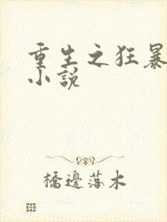 重生之狂暴火法小说