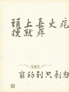 头上长火疙瘩一摸就疼