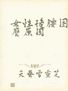 女性后腰困是什么原因