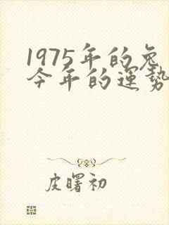 1975年的兔今年的运势