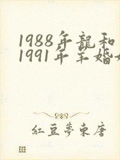1988年龙和1991年羊婚姻