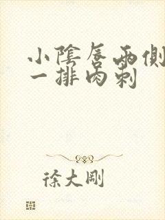 小阴唇两侧长了一排肉刺