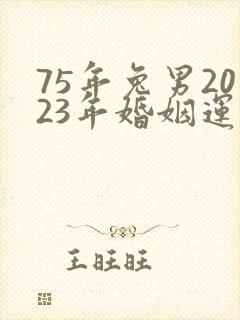75年兔男2023年婚姻运势封面