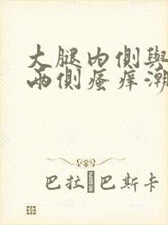 大腿内侧与阴囊两侧瘙痒潮湿发黑抹什么药