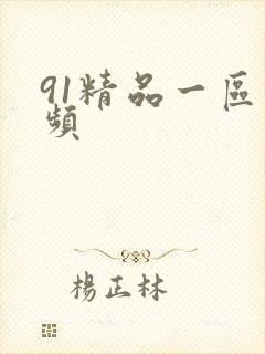 91精品一区视频