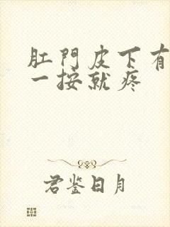 肛门皮下有肿块一按就疼