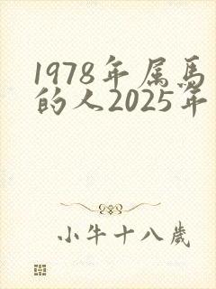 1978年属马的人2025年运势及运程