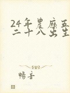 24年农历五月二十八出生男孩命运如何封面