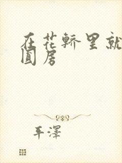 在花轿里就开始圆房封面