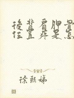 后背肩胛骨下面位置疼是怎么回事封面