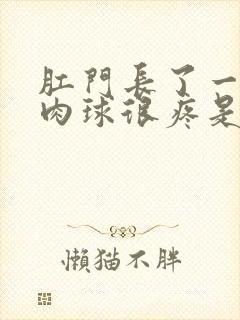 肛门长了一个小肉球很疼是怎么回事