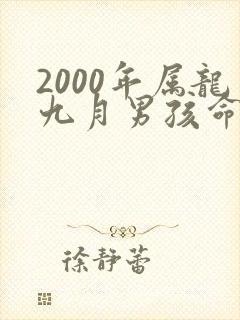 2000年属龙九月男孩命运