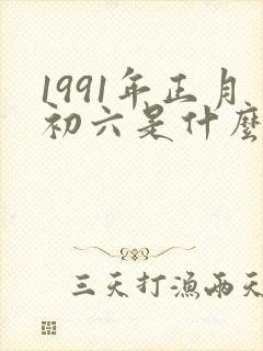 1991年正月初六是什么命