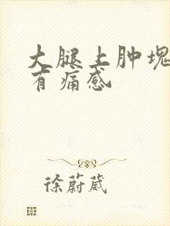 大腿上肿块按压有痛感封面