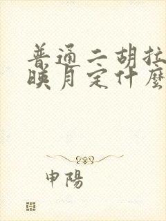 普通二胡拉二泉映月定什么弦封面