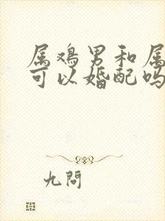 属鸡男和属虎女可以婚配吗