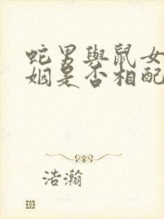 蛇男与鼠女的婚姻是否相配