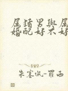 属猪男与属虎女婚配好不好