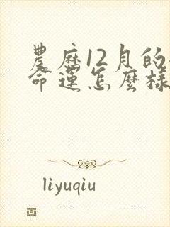 农历12月的龙命运怎么样