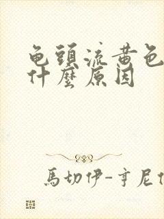 龟头流黄色脓是什么原因