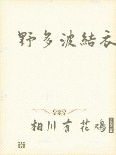野多波结衣