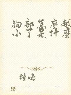 胸部怎么越来越小了是什么原因