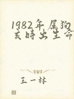 1982年属狗亥时出生命运